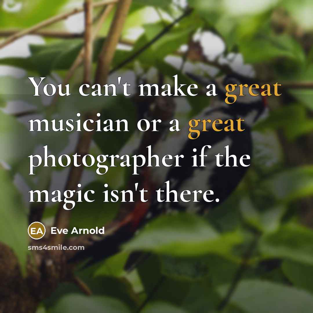 “You can't make a great musician or a great photographer…” quote by Eve Arnold