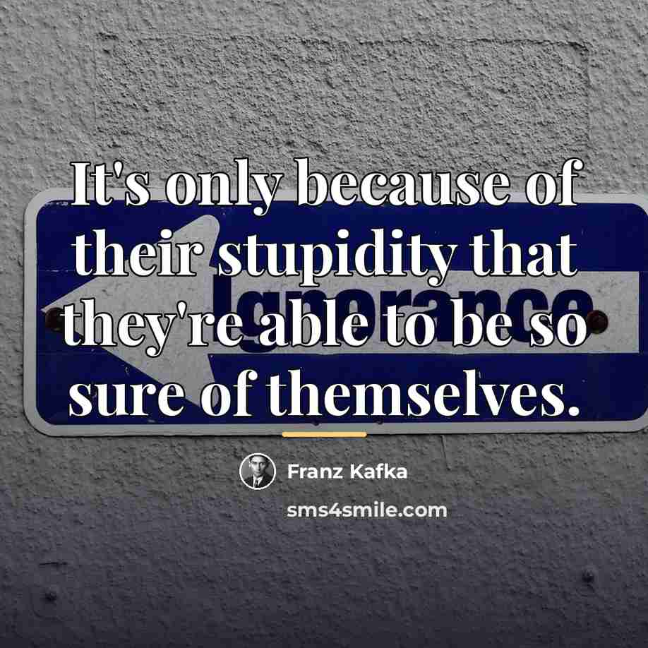 “It's only because of their stupidity that they're able to…” quote by Franz Kafka