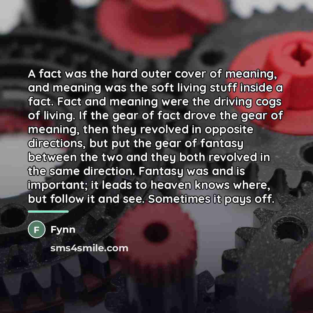 “A fact was the hard outer cover of meaning, and…” quote by Fynn