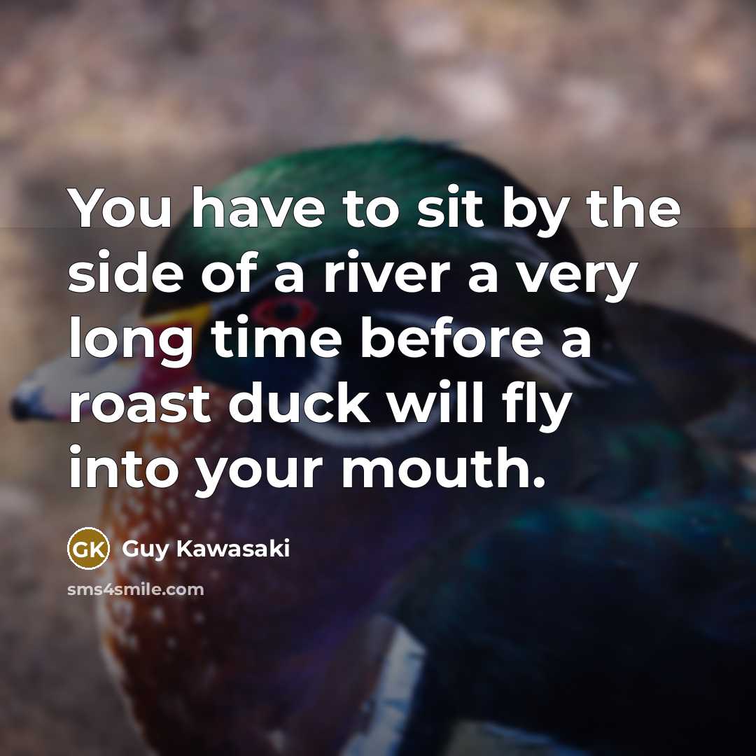 “You have to sit by the side of a river a very long time before a roast duck will fly into your mouth.” quote by Guy Kawasaki