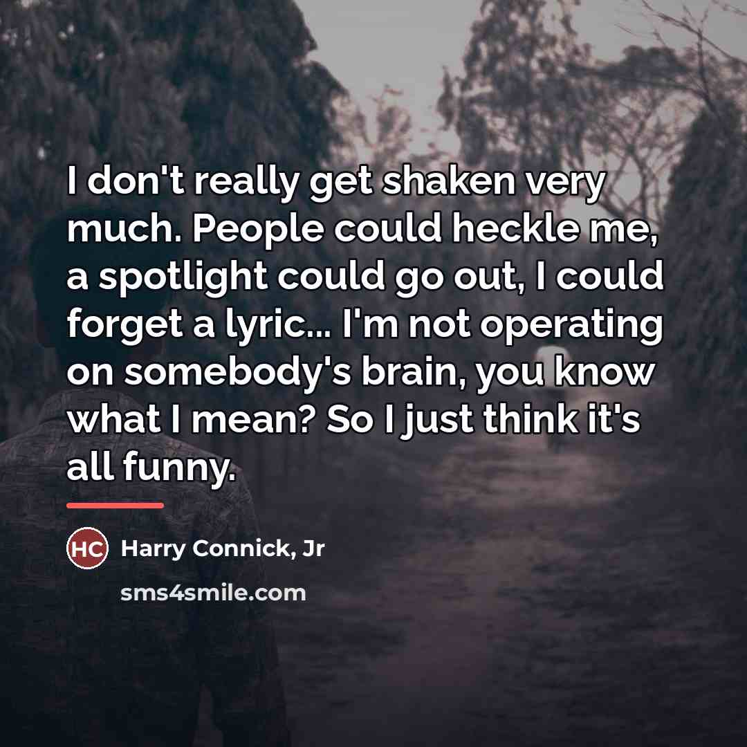 “I don't really get shaken very much. People could heckle…” quote by Harry Connick, Jr