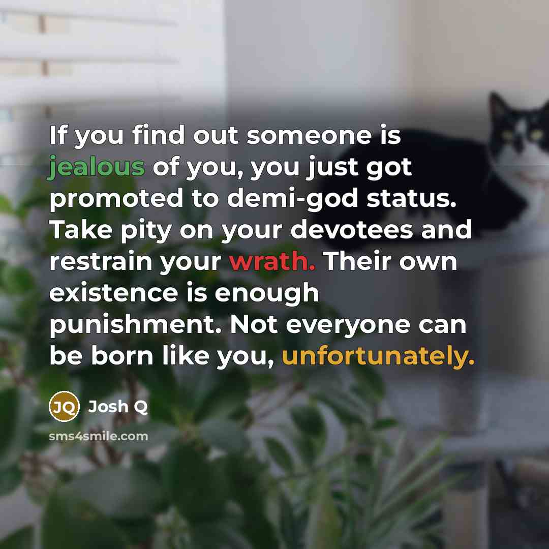 “If you find out someone is jealous of you, you just got promoted to demi-god status. Take pity on your devotees and restrain your wrath. Their own existence is enough punishment. Not everyone can be born like you, unfortunately.” quote by Josh Q