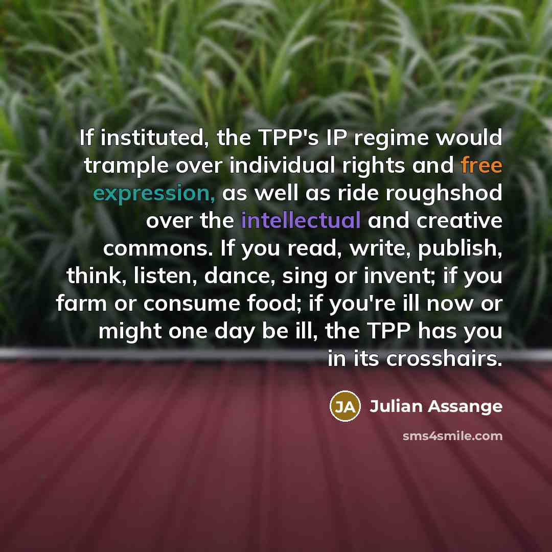 “If instituted, the TPP's IP regime would trample over individual…” quote by Julian Assange