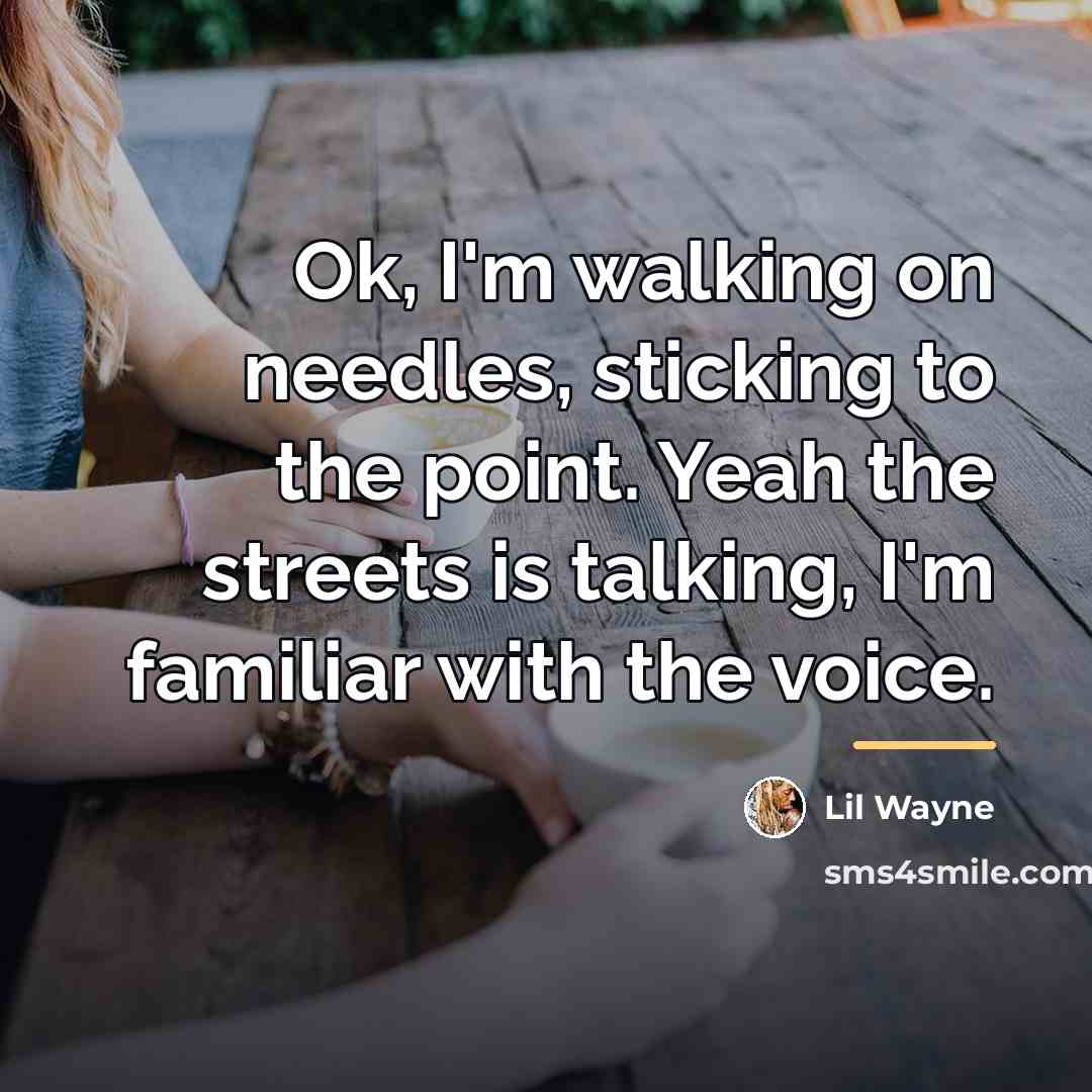 “Ok, I'm walking on needles, sticking to the point. Yeah…” quote by Lil Wayne