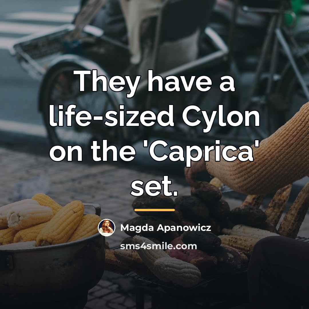 “They have a life-sized Cylon on the 'Caprica' set.…” quote by Magda Apanowicz