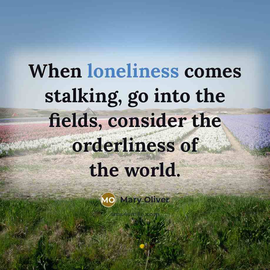 “When loneliness comes stalking, go into the fields, consider the…” quote by Mary Oliver