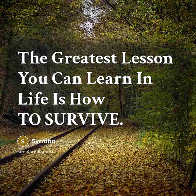 “The Greatest Lesson You Can Learn In Life Is How…” quote by Syntific