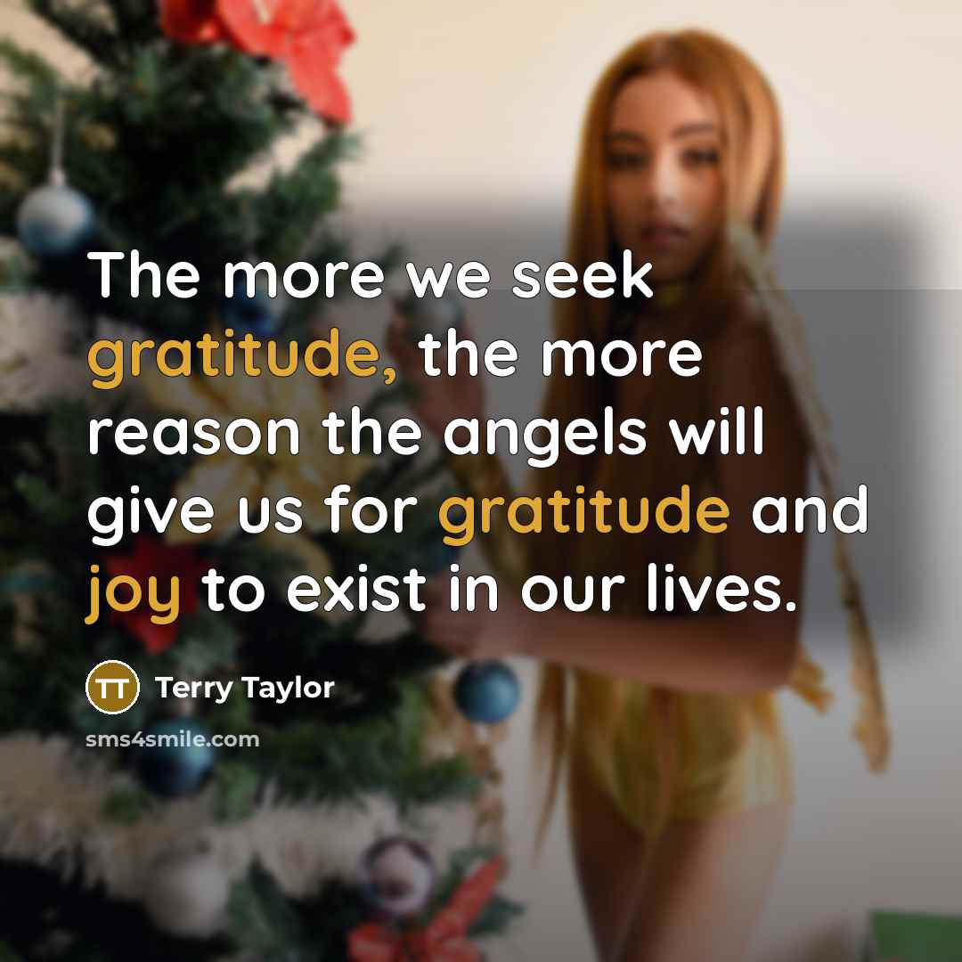 “The more we seek gratitude, the more reason the angels…” quote by Terry Taylor