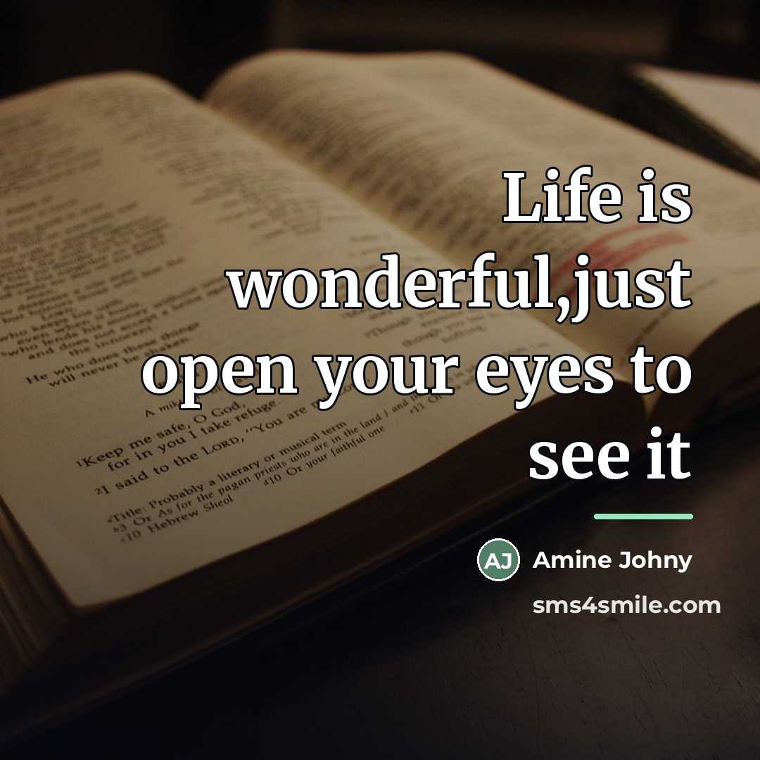 “Life is wonderful,just open your eyes to see it…” quote by Amine Johny