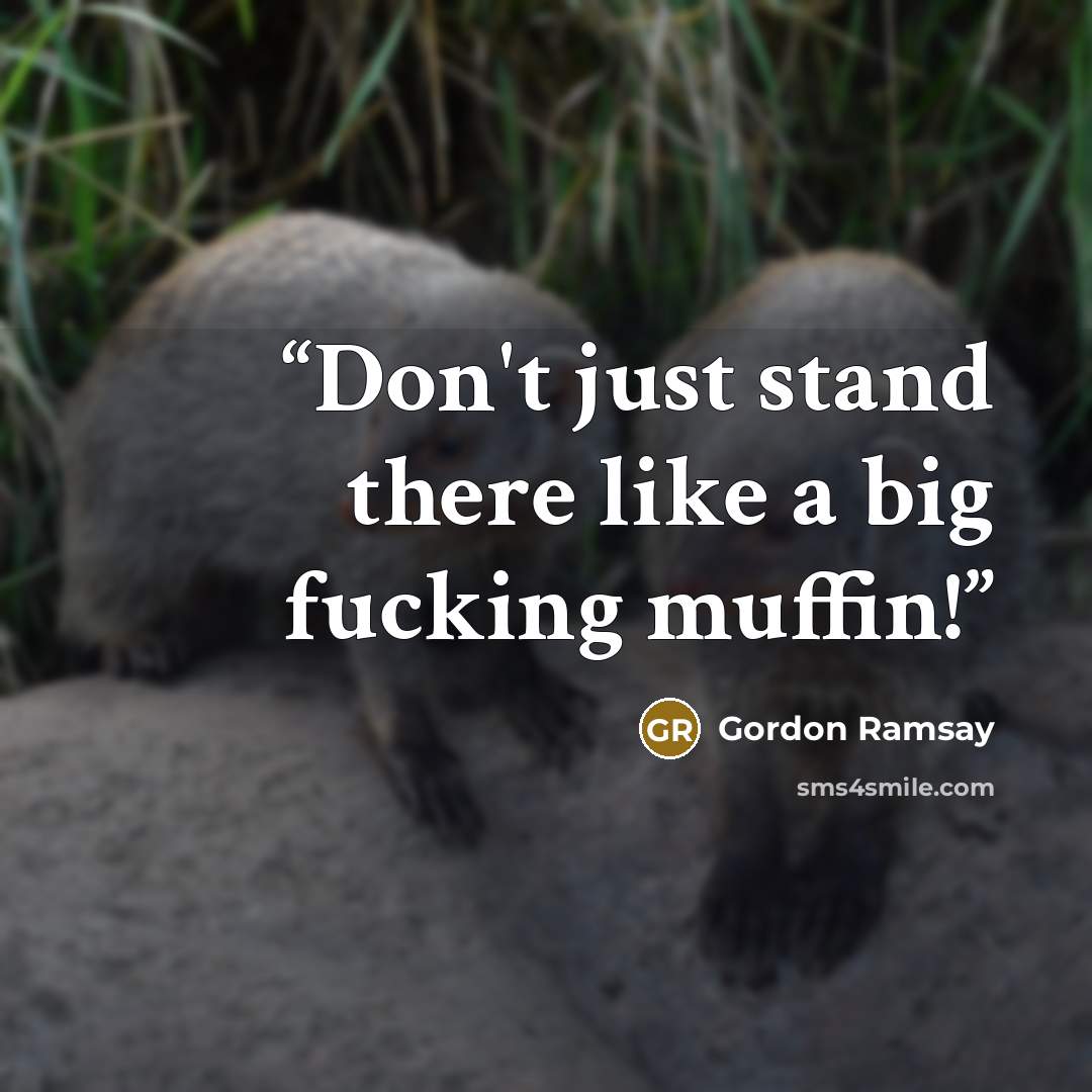 “Don't just stand there like a big fucking muffin!” quote by Gordon Ramsay
