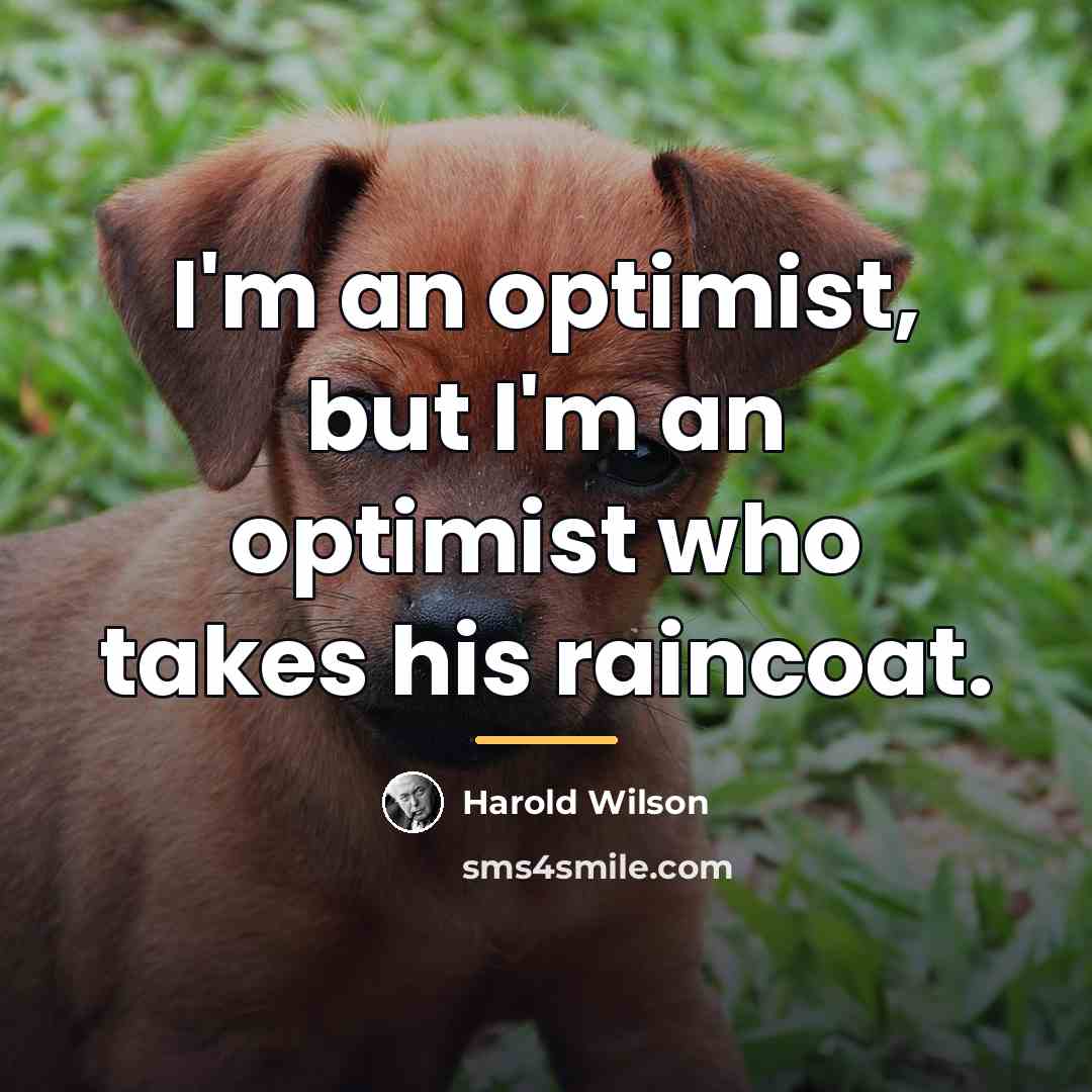 “I'm an optimist, but I'm an optimist who takes his…” quote by Harold Wilson