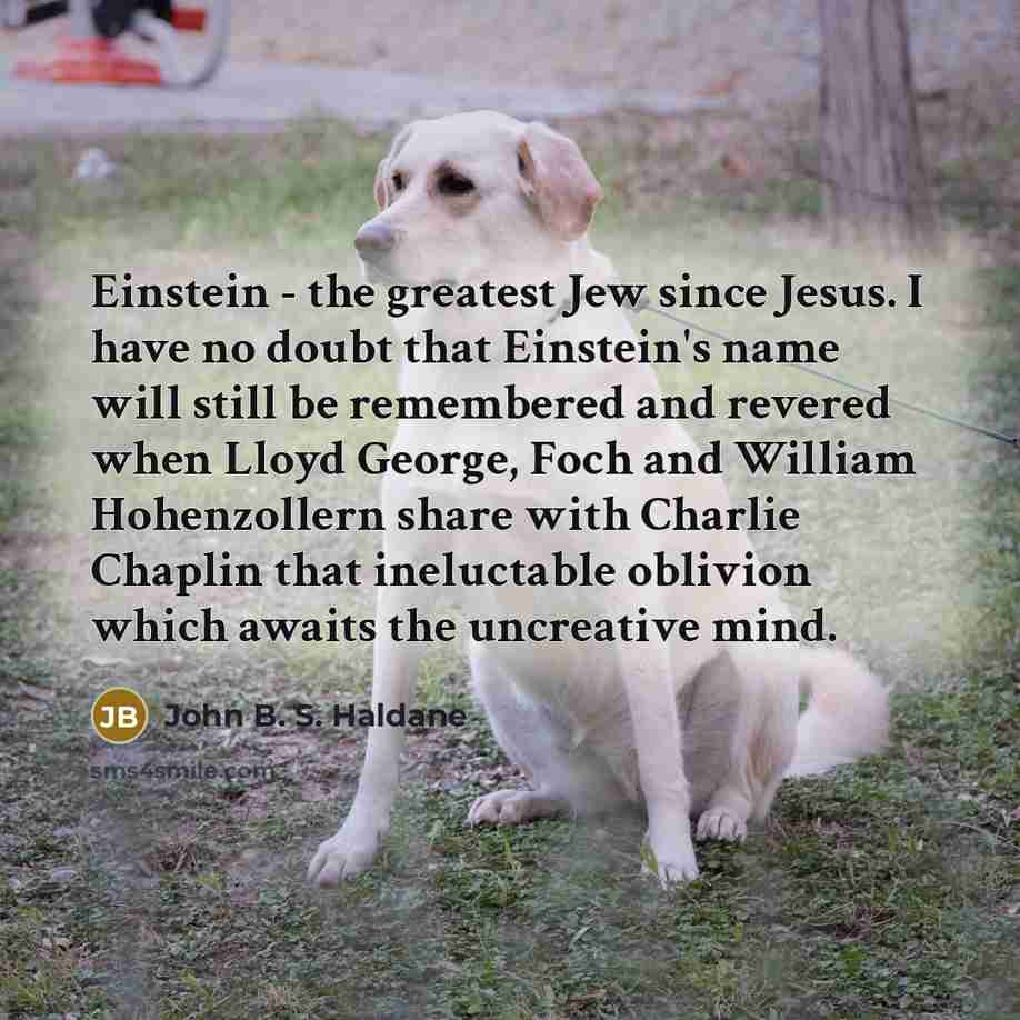 “Einstein - the greatest Jew since Jesus. I have no…” quote by John B. S. Haldane