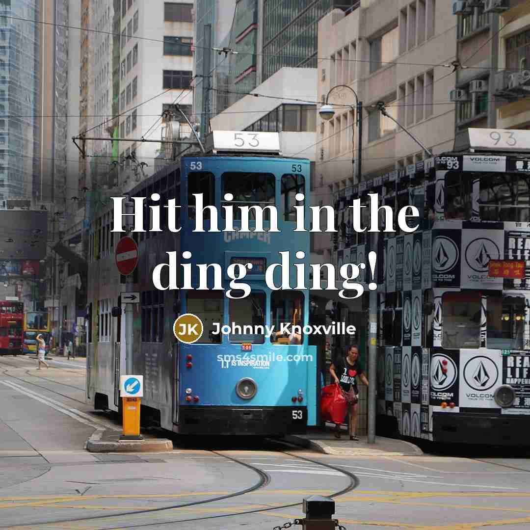 “Hit him in the ding ding!” quote by Johnny Knoxville