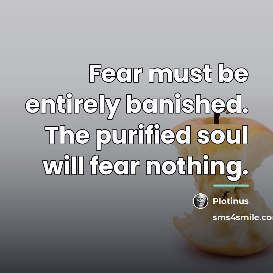 “Fear must be entirely banished. The purified soul will fear…” quote by Plotinus