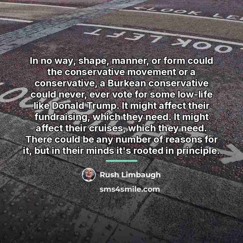 “In no way, shape, manner, or form could the conservative…” quote by Rush Limbaugh