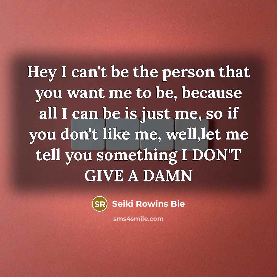 “Hey I can't be the person that you want me…” quote by Seiki Rowins Bie