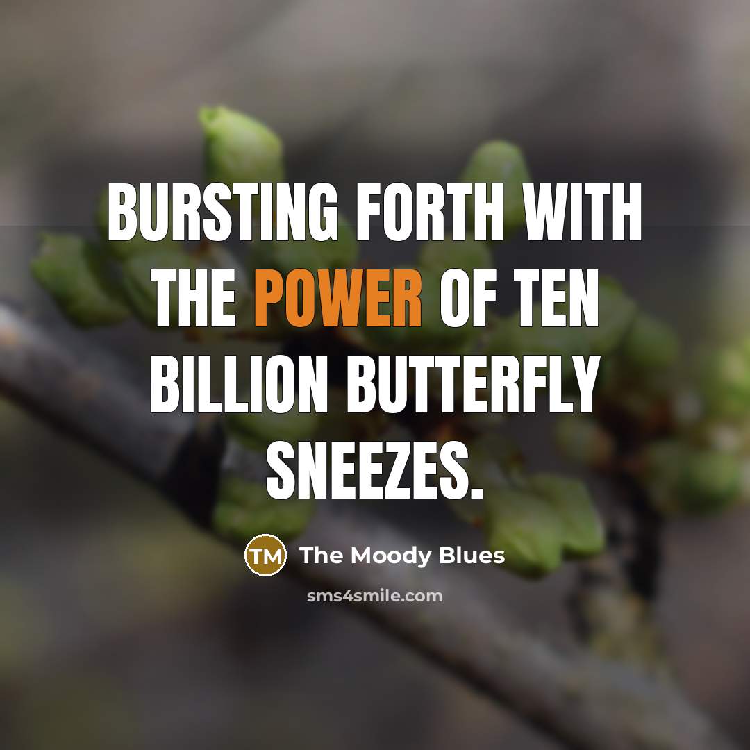 “Bursting forth with the power of ten billion butterfly sneezes.” quote by The Moody Blues