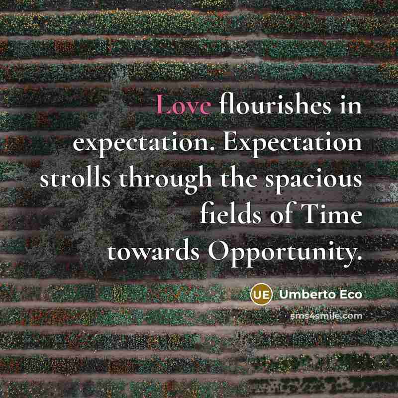 “Love flourishes in expectation. Expectation strolls through the spacious fields…” quote by Umberto Eco