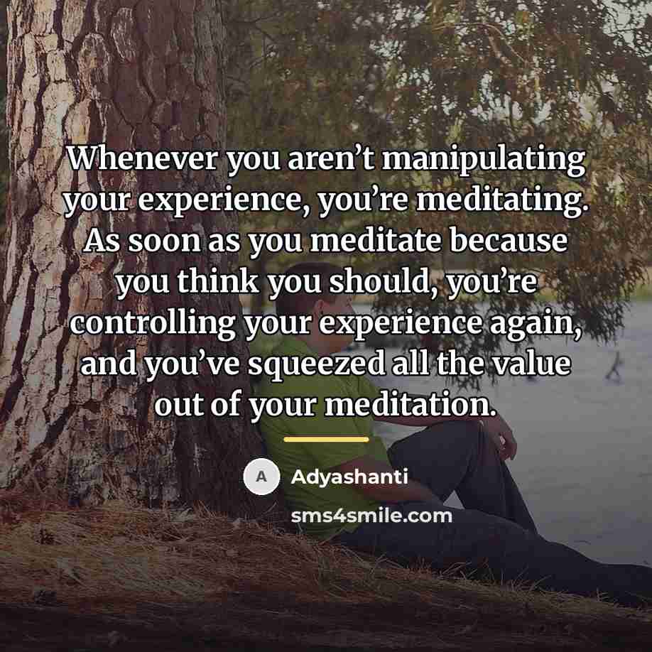 “Whenever you aren’t manipulating your experience, you’re meditating. As soon…” quote by Adyashanti