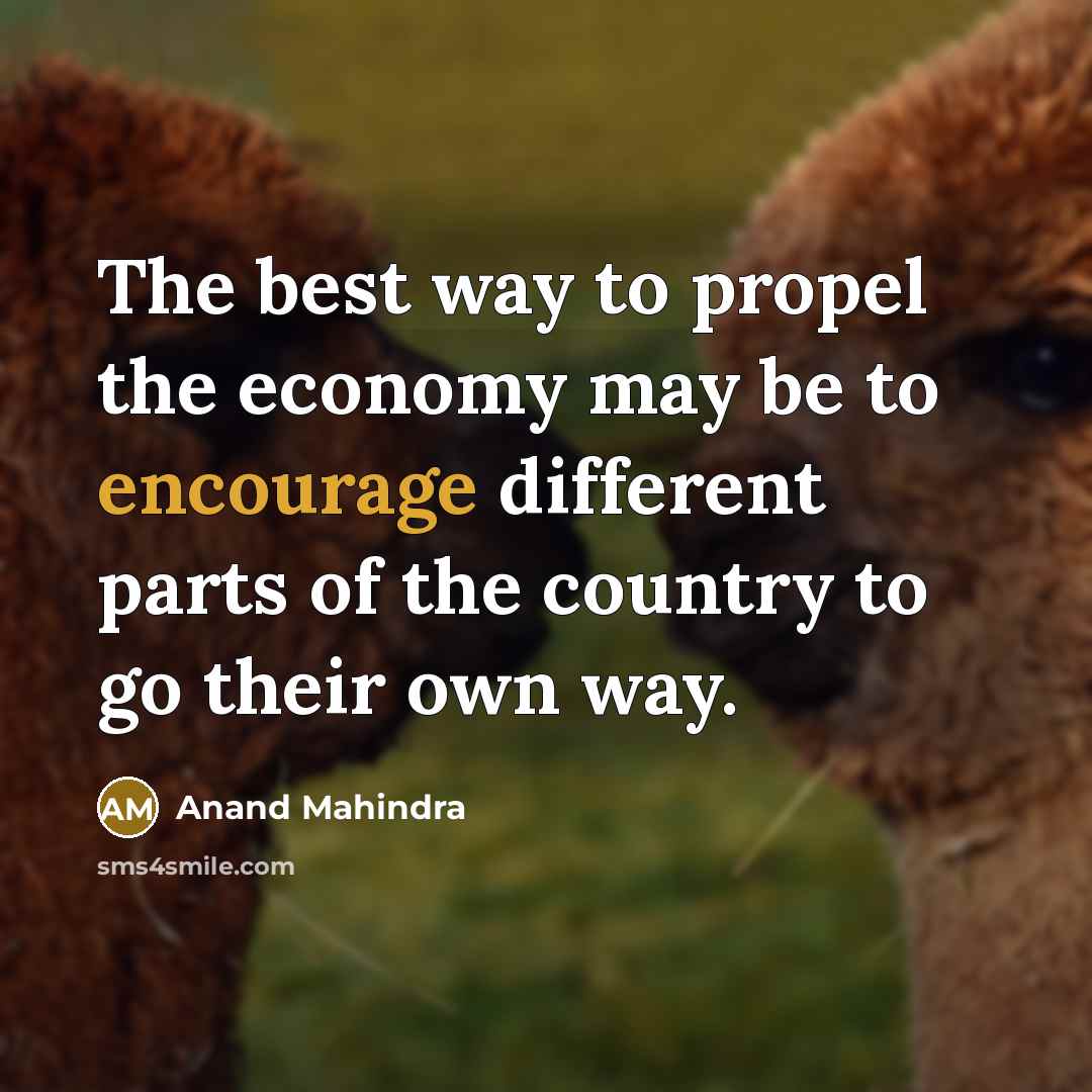 “The best way to propel the economy may be to…” quote by Anand Mahindra