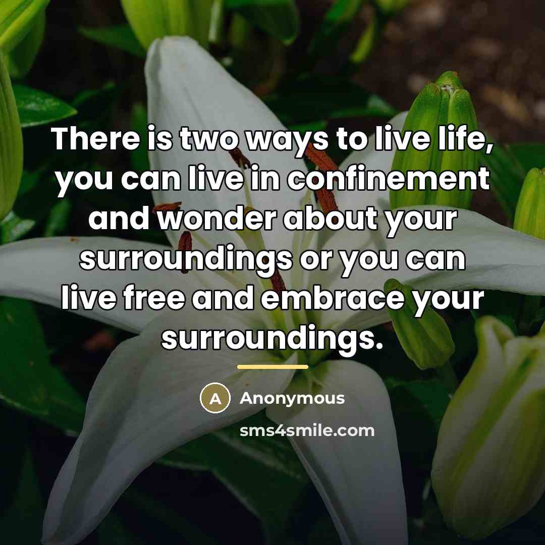 “There is two ways to live life, you can live…” quote by Anonymous