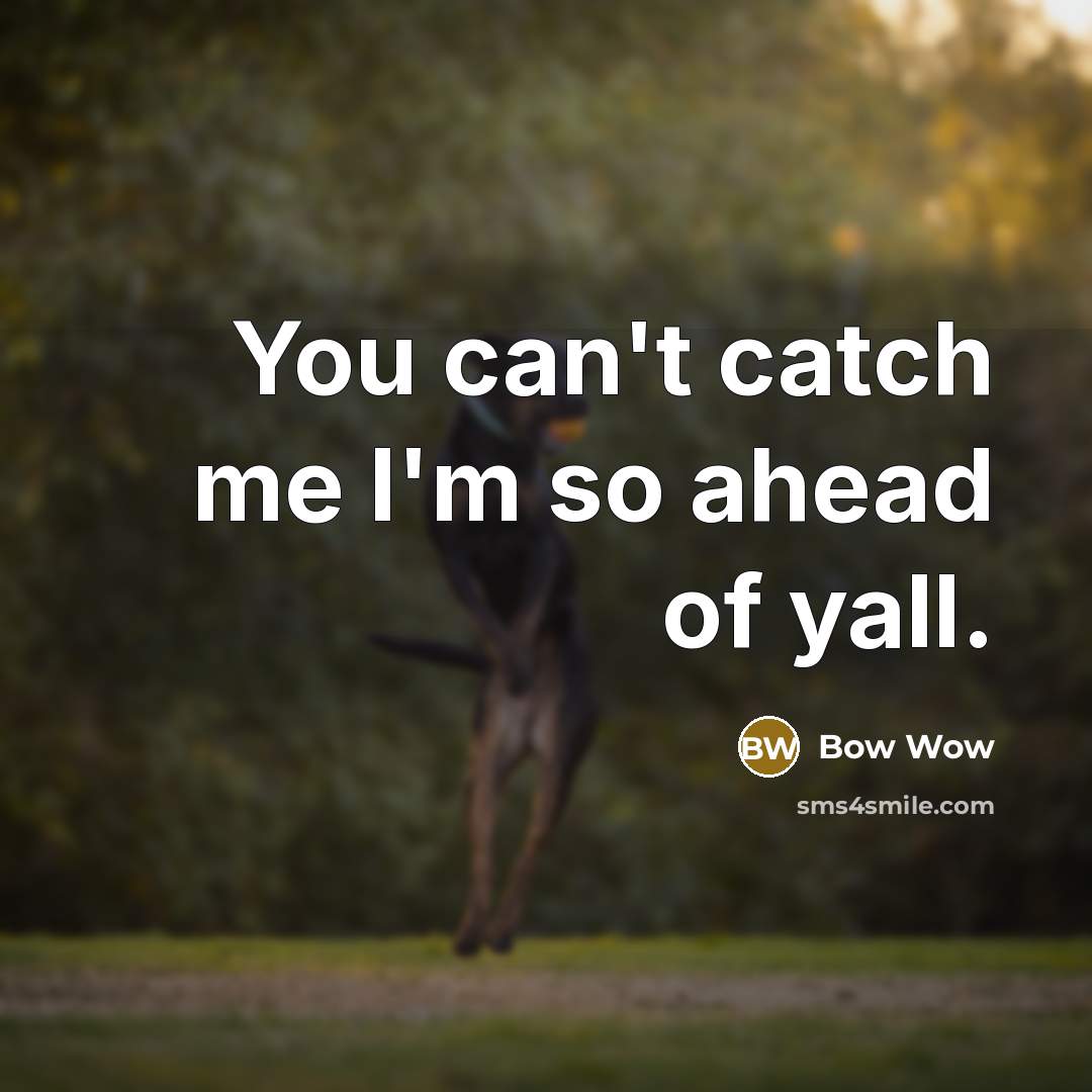 “You can't catch me I'm so ahead of yall.…” quote by Bow Wow