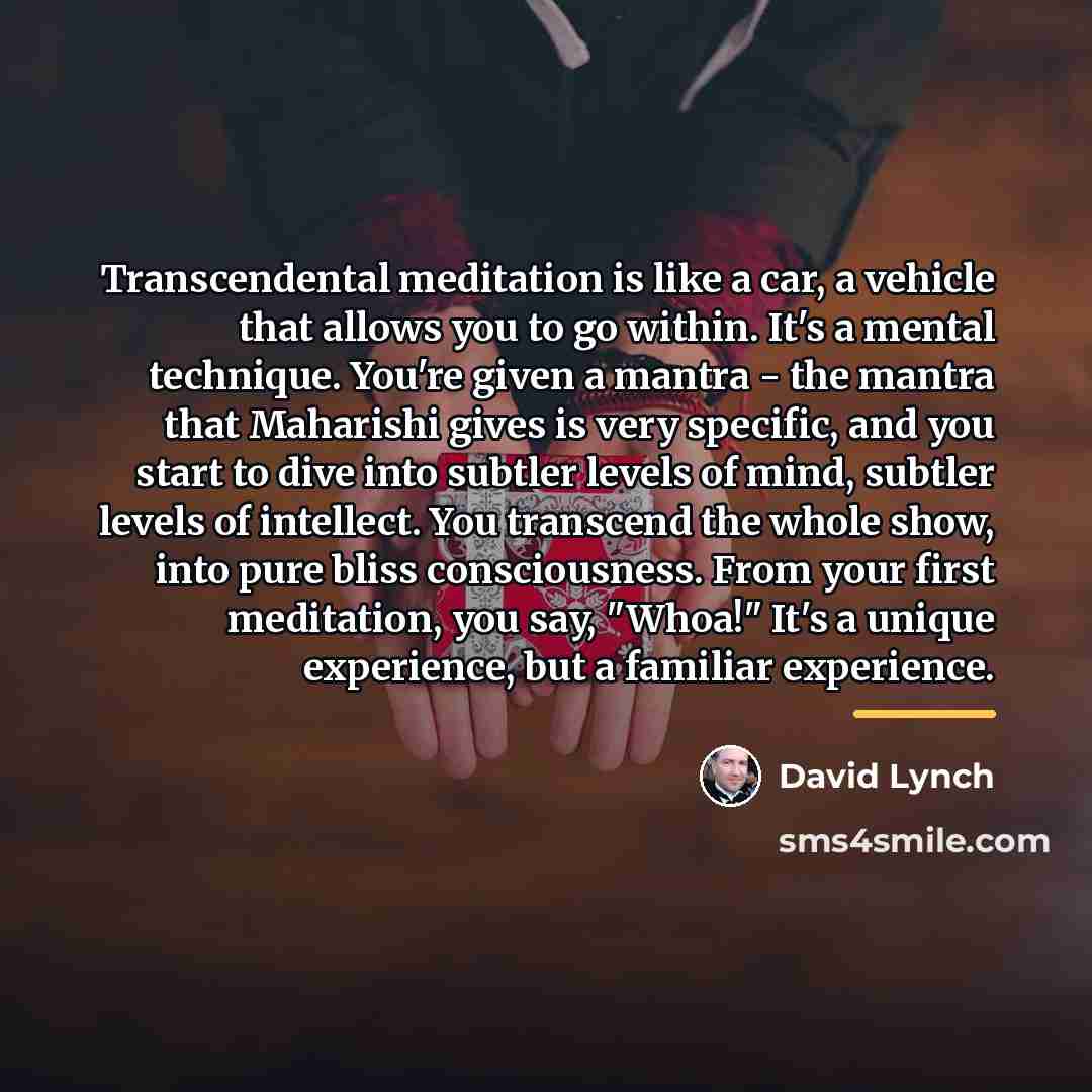 “Transcendental meditation is like a car, a vehicle that allows…” quote by David Lynch