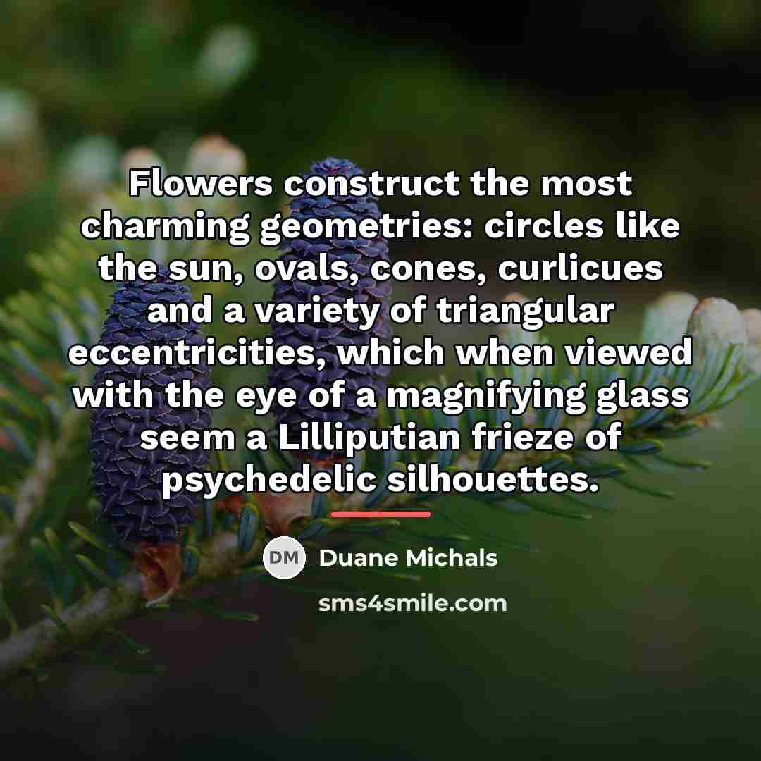 “Flowers construct the most charming geometries: circles like the sun,…” quote by Duane Michals