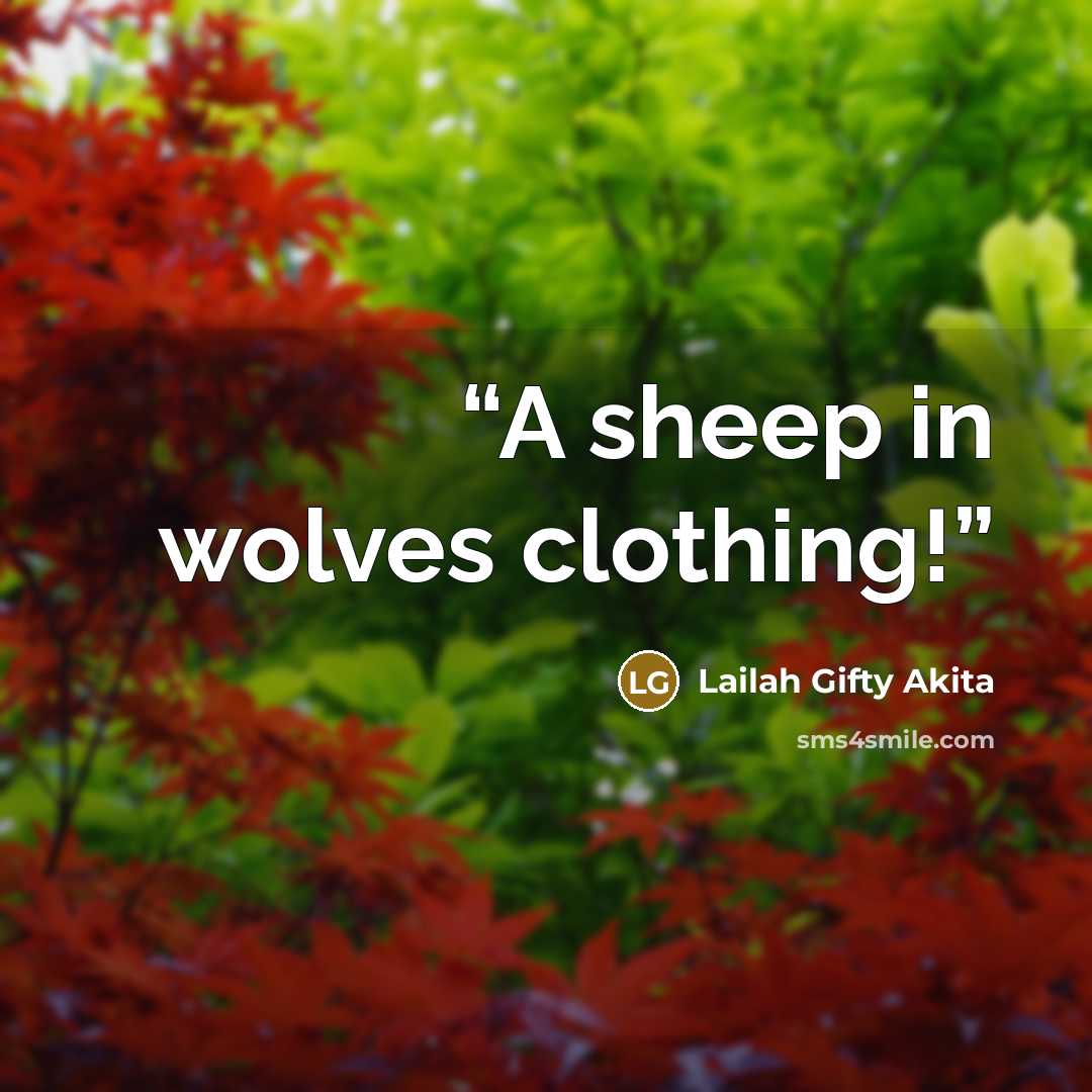 “A sheep in wolves clothing!” quote by Lailah Gifty Akita