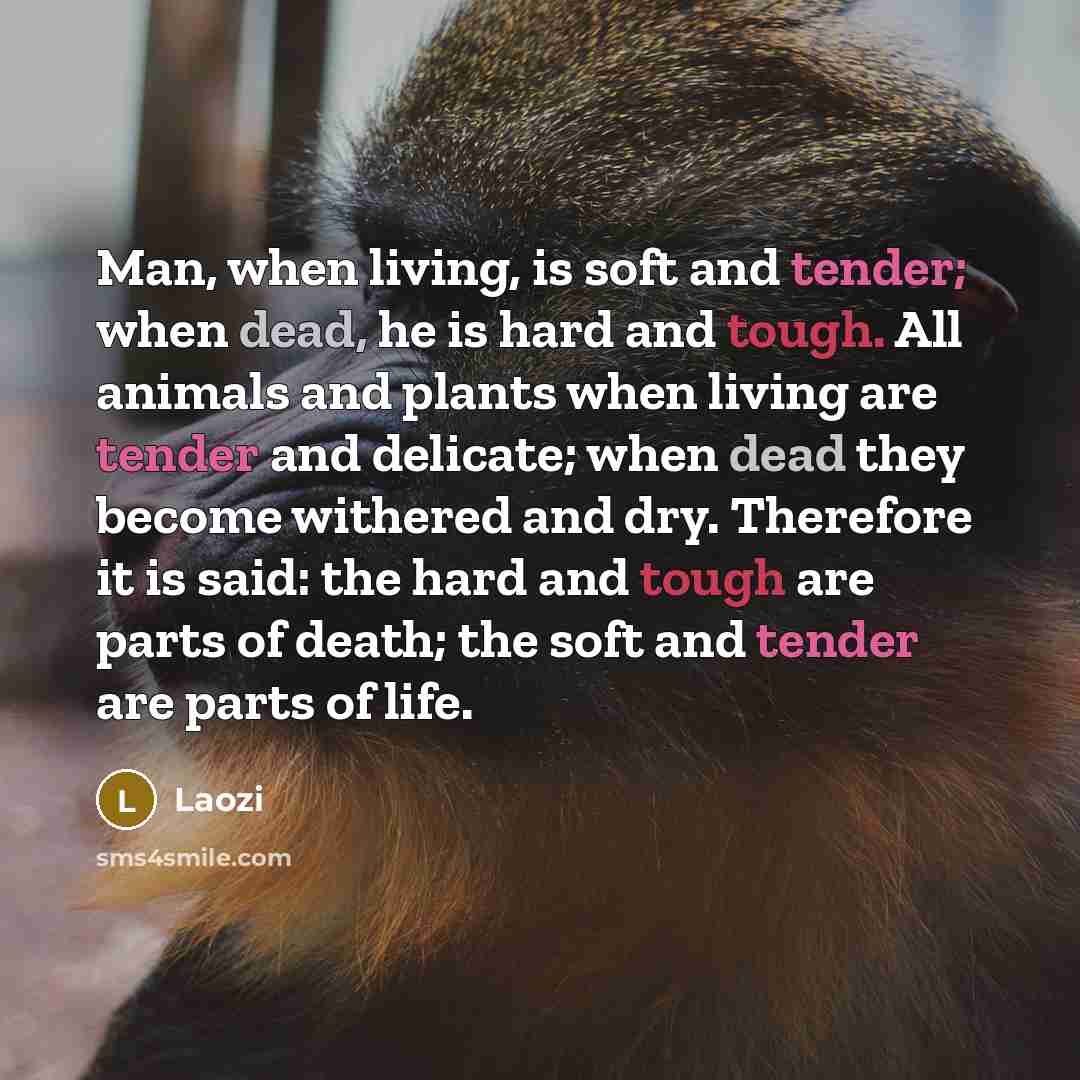 “Man, when living, is soft and tender; when dead, he…” quote by Laozi