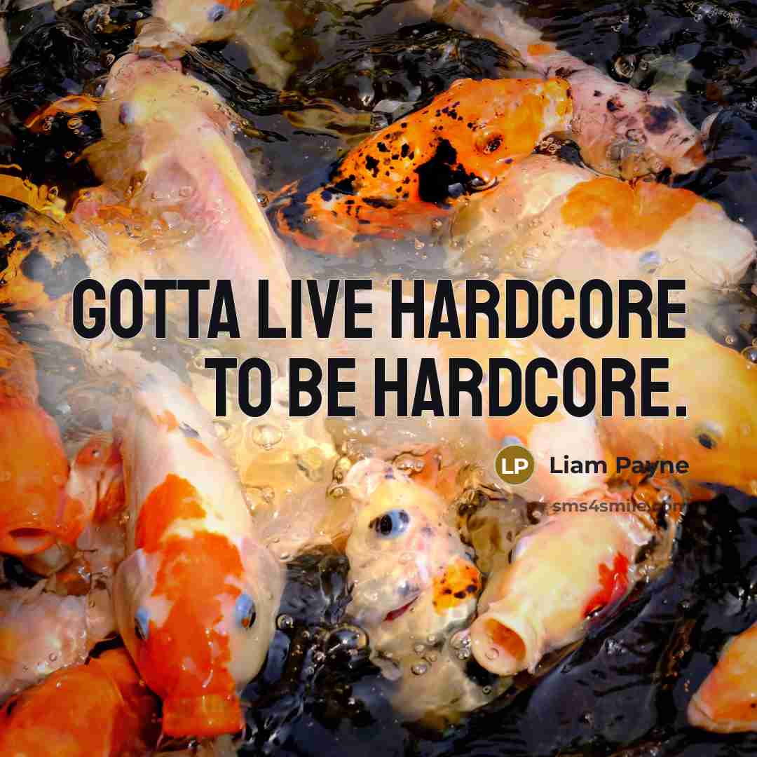 “Gotta live hardcore to be hardcore.…” quote by Liam Payne
