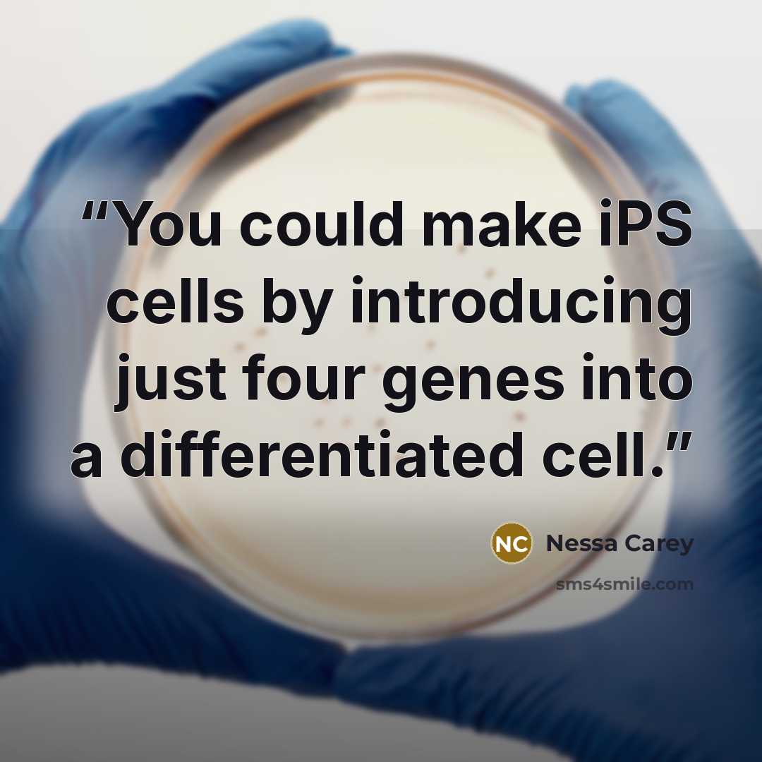 “You could make iPS cells by introducing just four genes into a differentiated cell.” quote by Nessa Carey