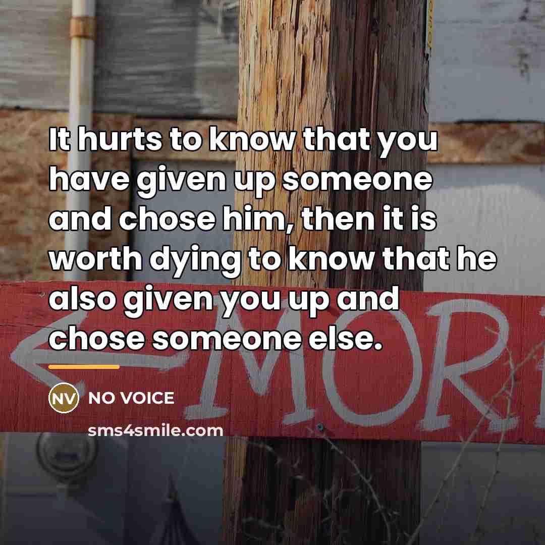 “It hurts to know that you have given up someone…” quote by NO VOICE