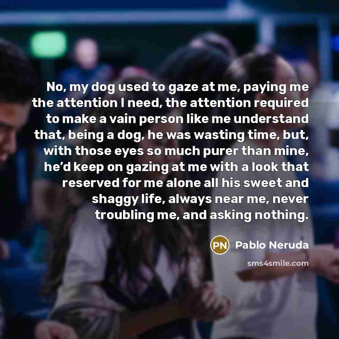 “No, my dog used to gaze at me, paying me…” quote by Pablo Neruda