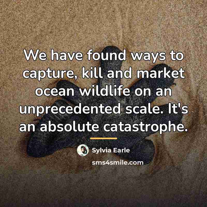 “We have found ways to capture, kill and market ocean…” quote by Sylvia Earle