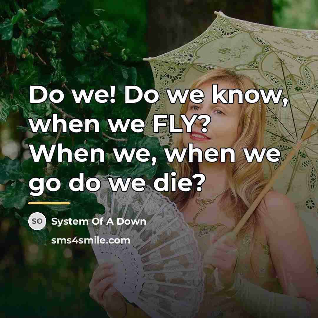 “Do we! Do we know, when we FLY? When we,…” quote by System Of A Down