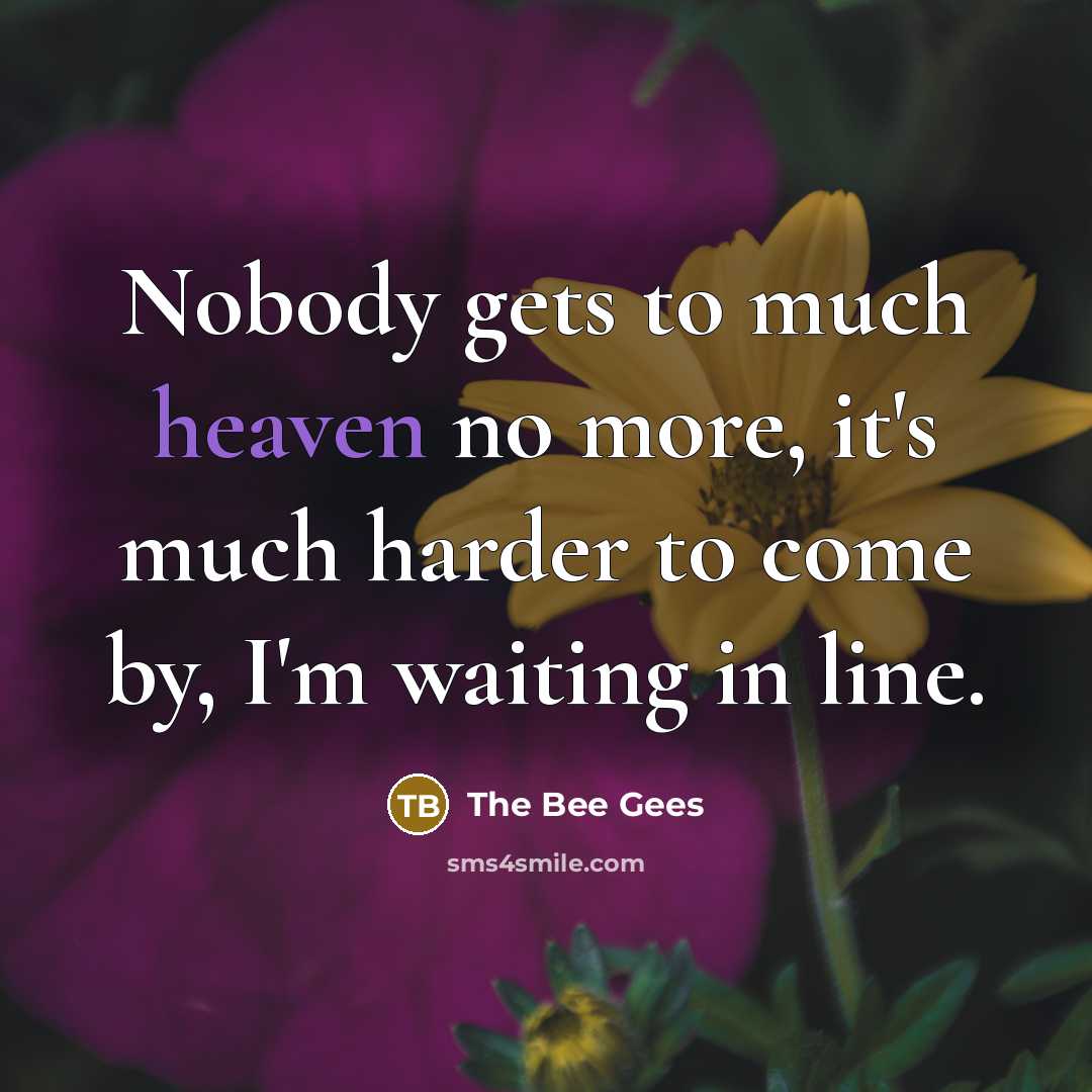 “Nobody gets to much heaven no more, it's much harder…” quote by The Bee Gees