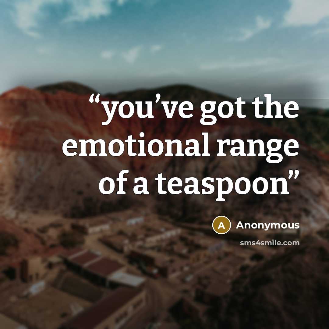 “you’ve got the emotional range of a teaspoon” quote by Anonymous