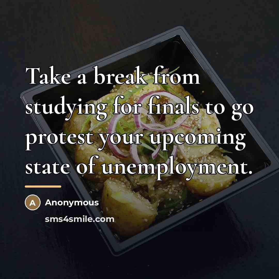 “Take a break from studying for finals to go protest…” quote by Anonymous