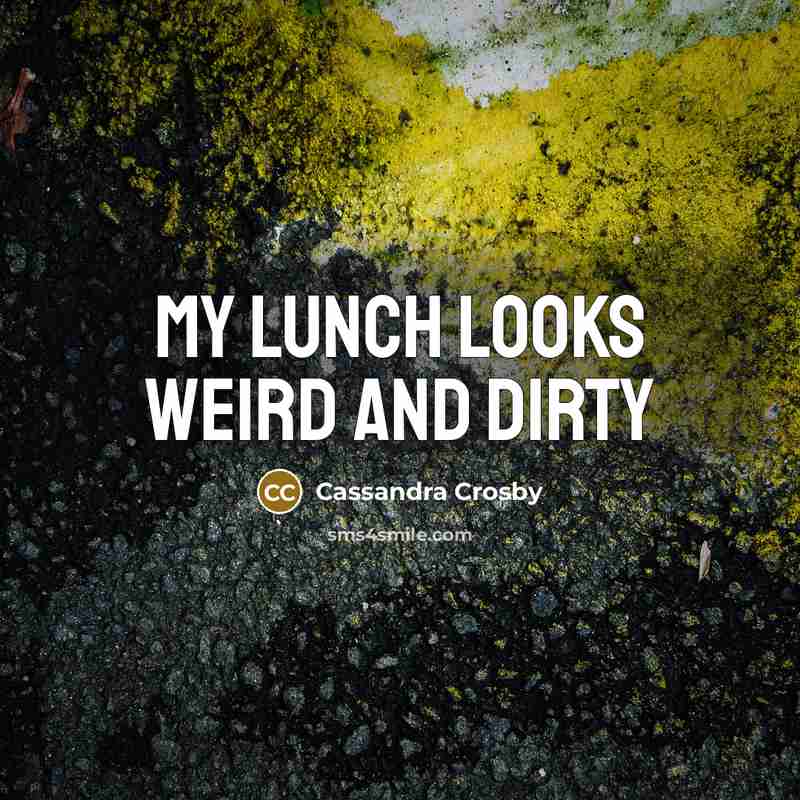 “My lunch looks weird and dirty…” quote by Cassandra Crosby
