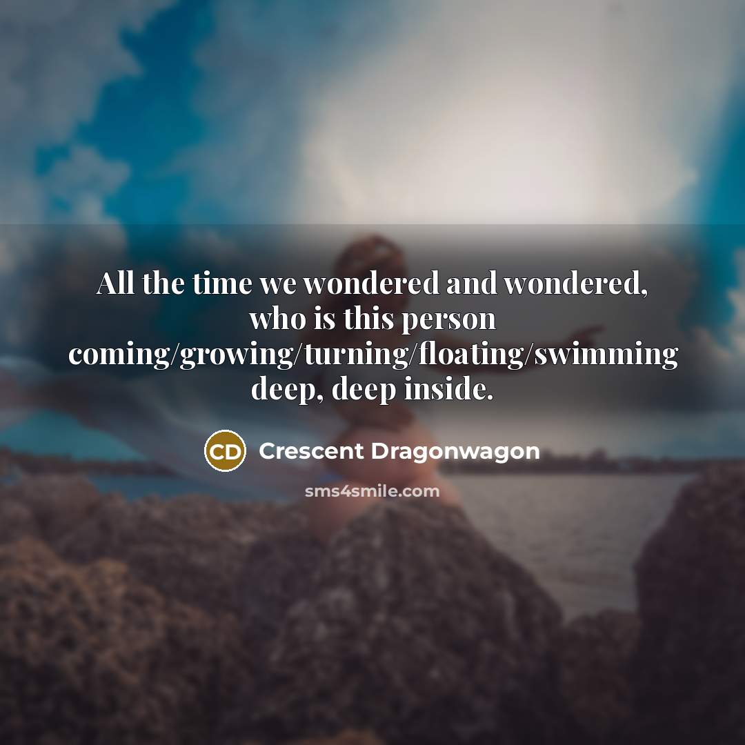 “All the time we wondered and wondered, who is this…” quote by Crescent Dragonwagon