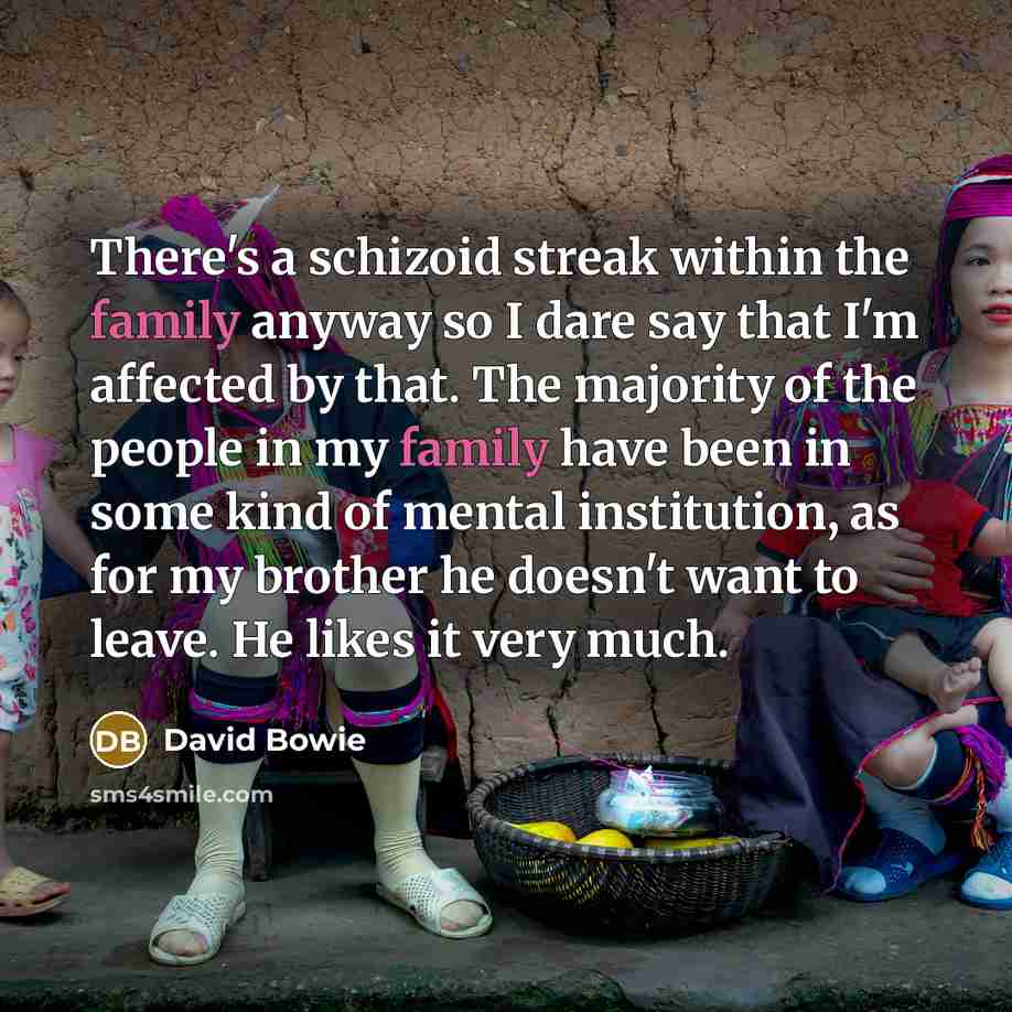 “There's a schizoid streak within the family anyway so I…” quote by David Bowie