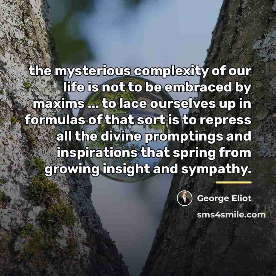 “the mysterious complexity of our life is not to be…” quote by George Eliot