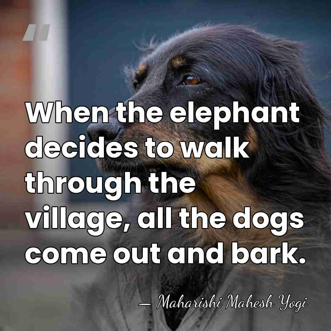 When the elephant decides to walk through the village, all the dogs&hellip; - Maharishi Mahesh Yogi