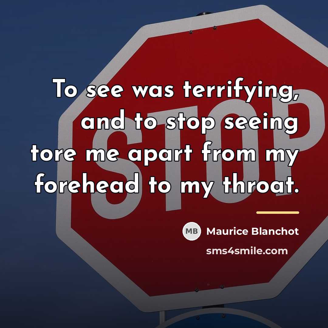 “To see was terrifying, and to stop seeing tore me…” quote by Maurice Blanchot