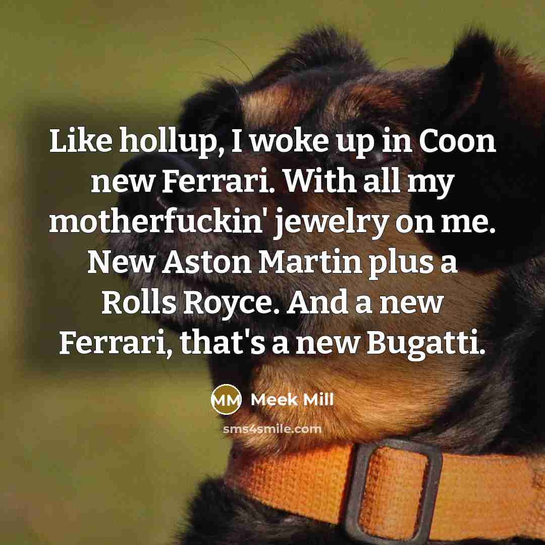 “Like hollup, I woke up in Coon new Ferrari. With…” quote by Meek Mill