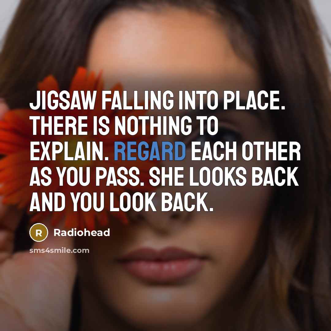 “Jigsaw falling into place. There is nothing to explain. Regard…” quote by Radiohead
