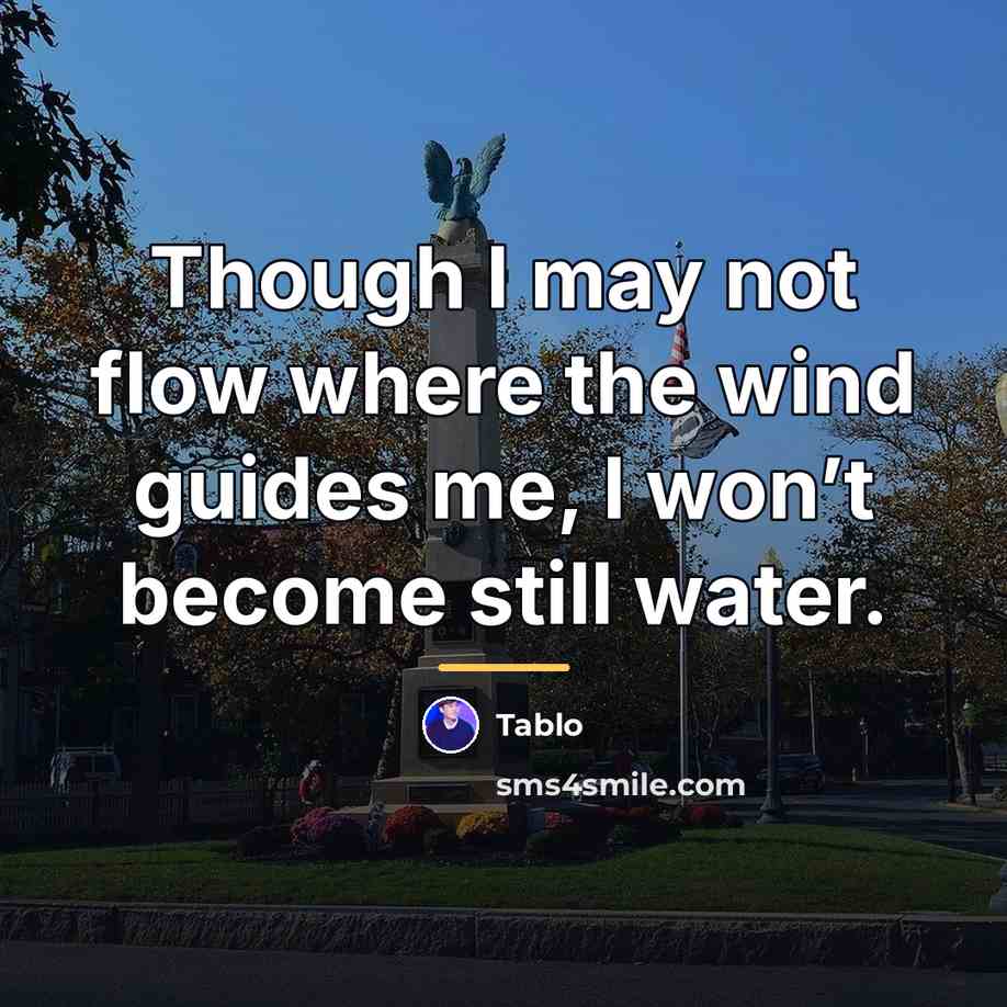 “Though I may not flow where the wind guides me,…” quote by Tablo