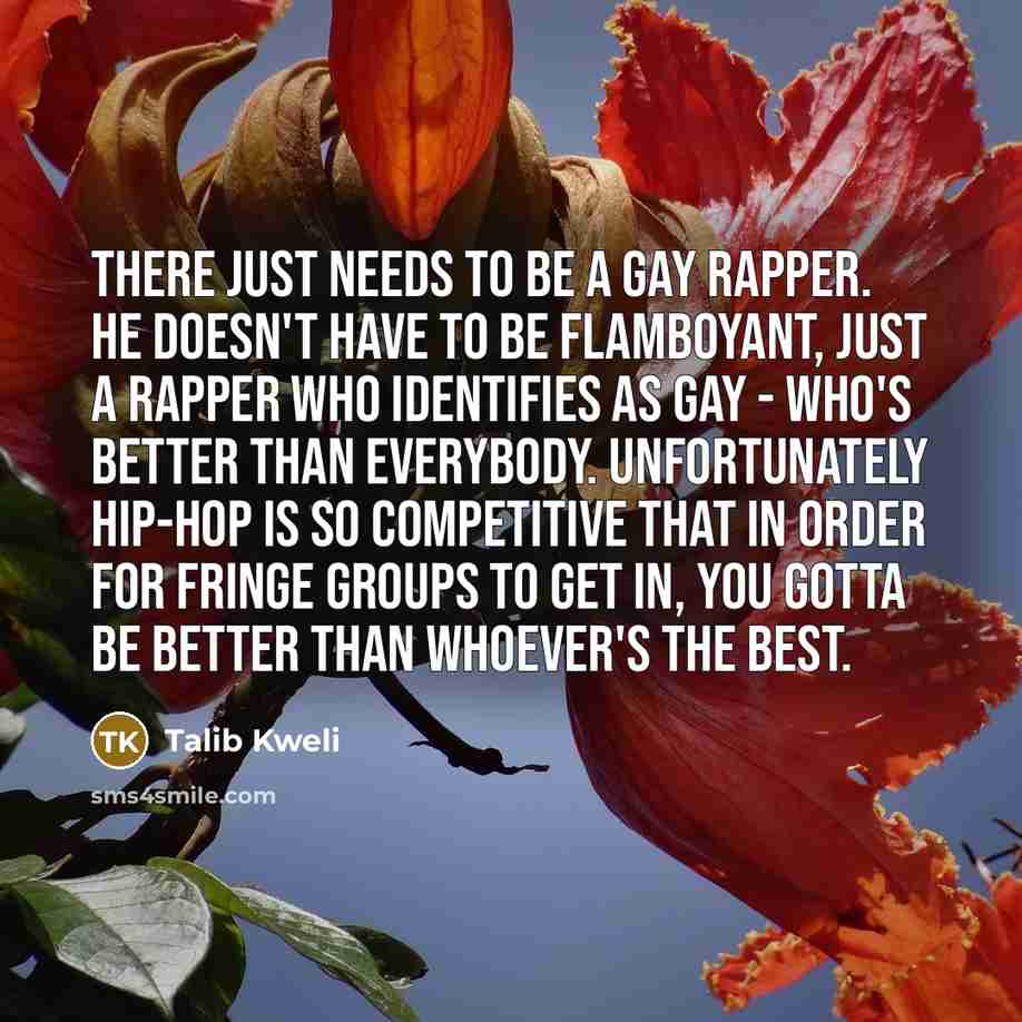 “There just needs to be a gay rapper. He doesn't…” quote by Talib Kweli