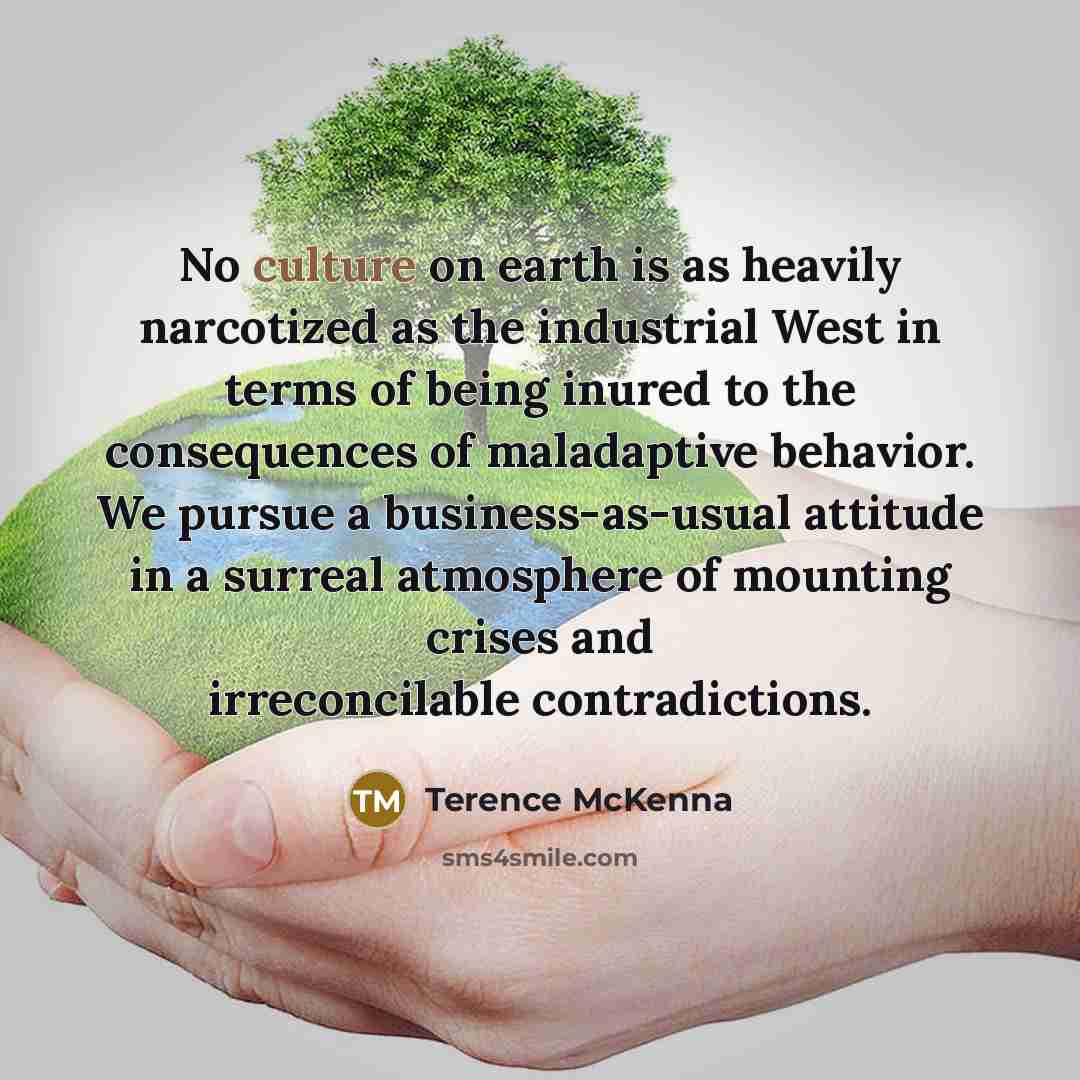 “No culture on earth is as heavily narcotized as the…” quote by Terence McKenna